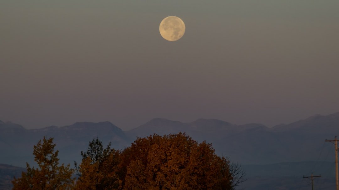 Photo Harvest Moon