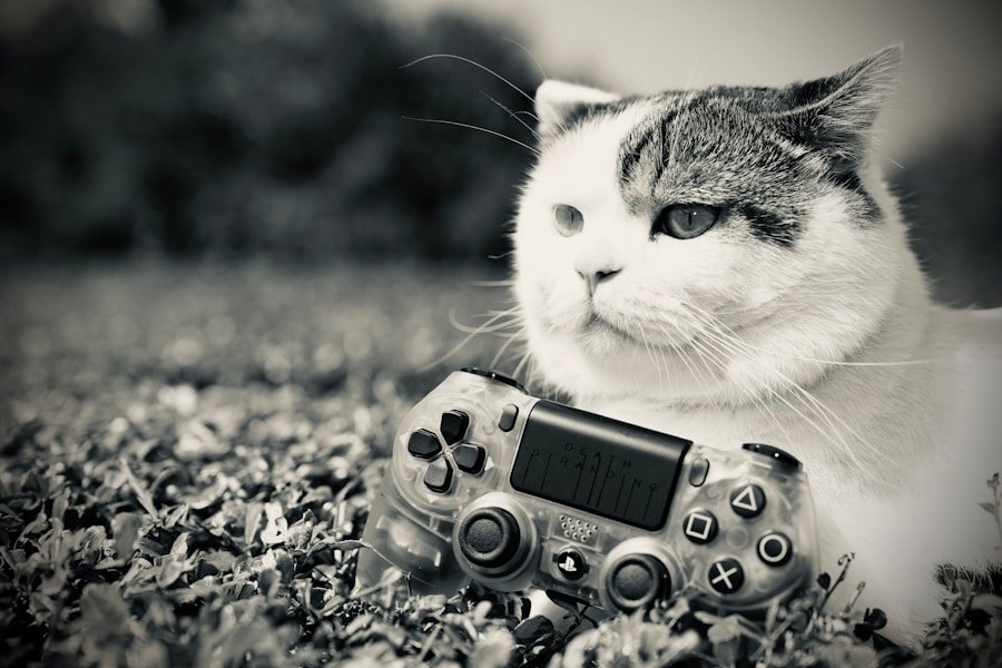 Photo Video games