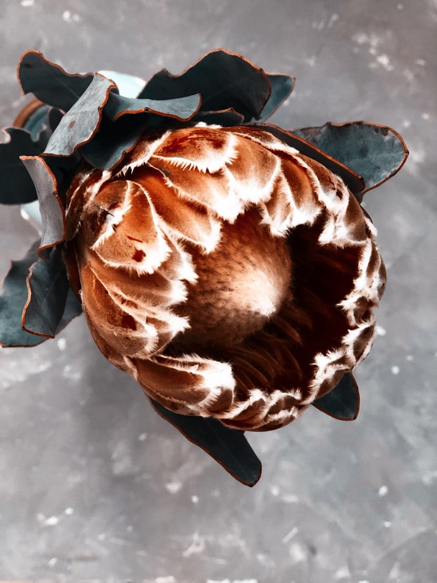 Crafting 101: How to Get the Best Gear in Palworld