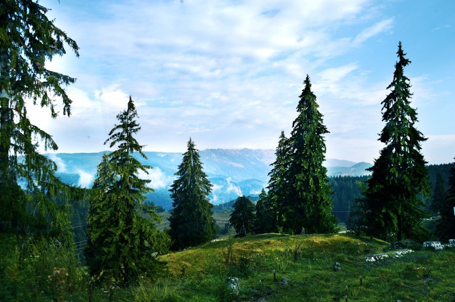 Photo "What Makes a Perfect Open World? (Zelda: TOTK vs Elden Ring)"