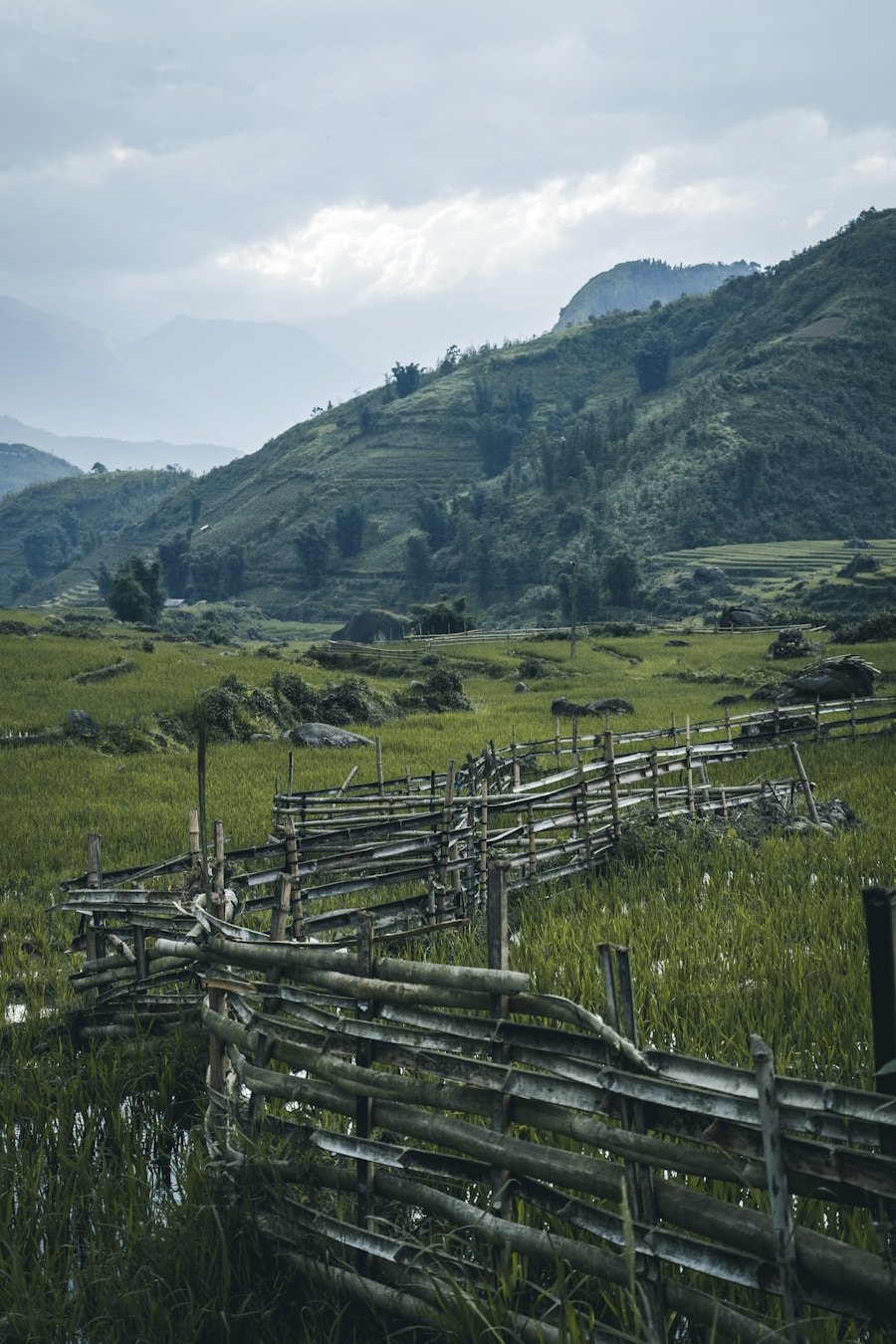 The Appeal of Open-World Games: Why Gamers Love Them