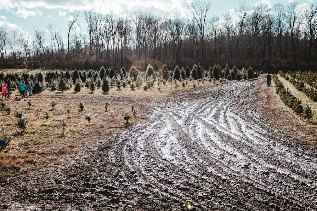 Photo Rebuilding Appalachia