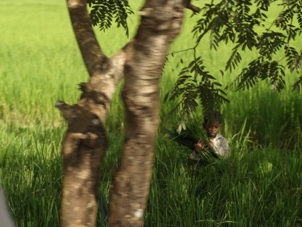 Photo Enhanced gameplay
