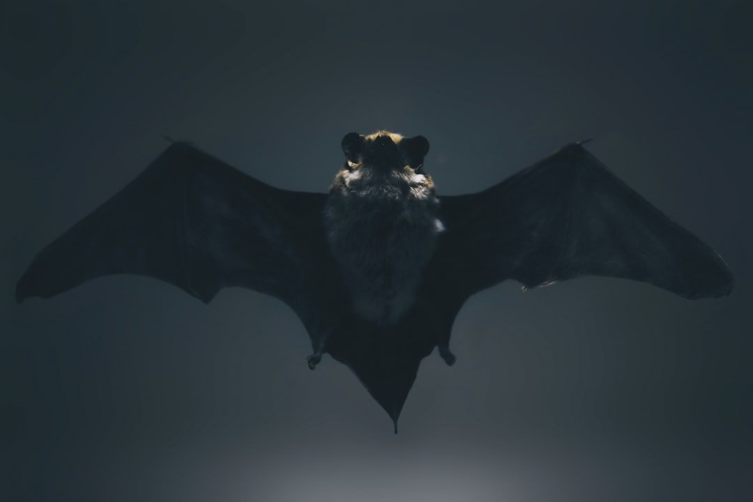 Embrace Your Dark Side: Games with Villain Protagonists