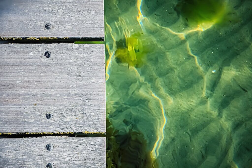 Photo "Before and After"