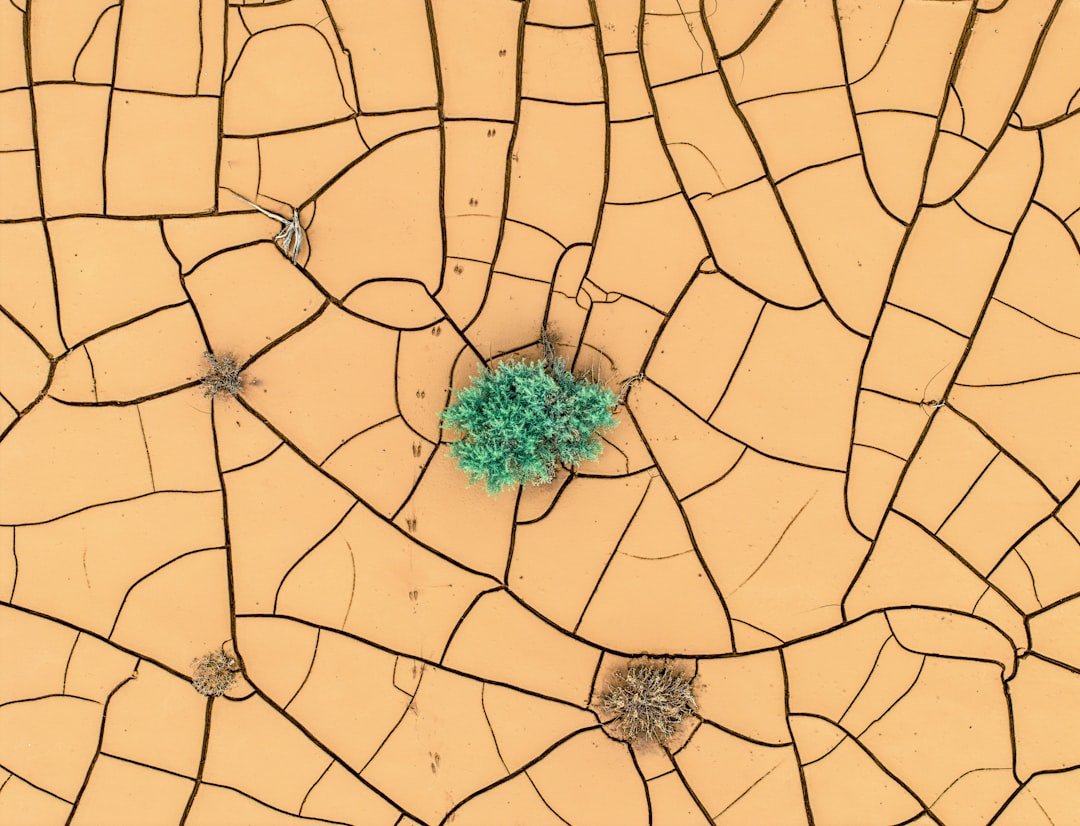Photo Interactive map