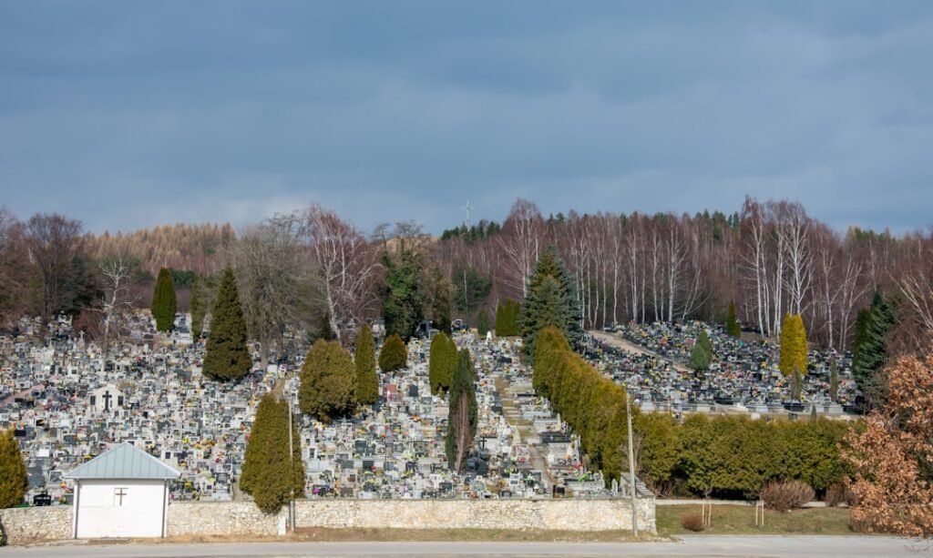 Photo Virtual graveyard