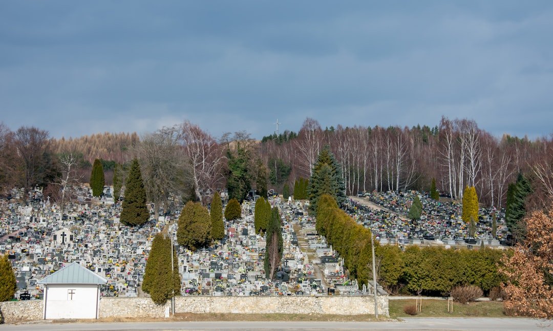 Photo Virtual graveyard